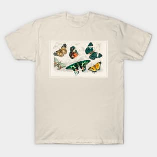 Beautiful Butterflies T-Shirt